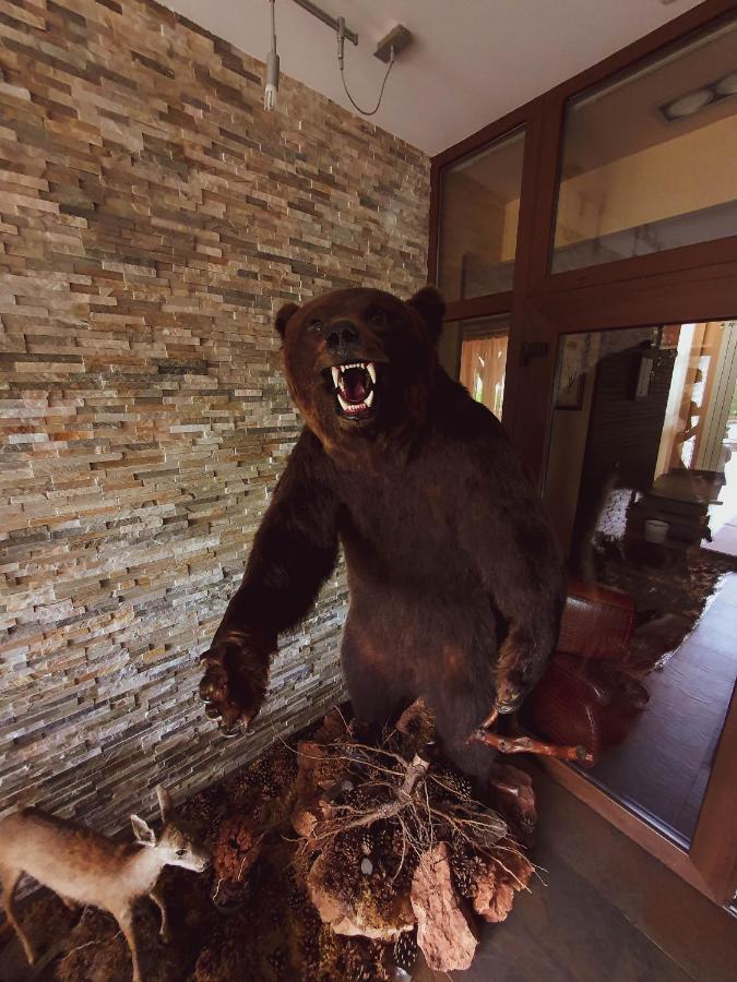 Hotel Belvedere ソバタ エクステリア 写真